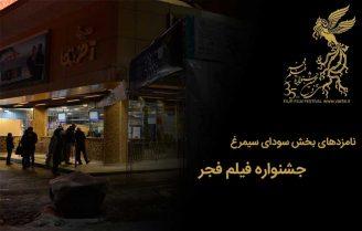 سیمرغ سی و پنجمین جشنواره فیلم فجر